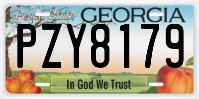 GA license plate PZY8179