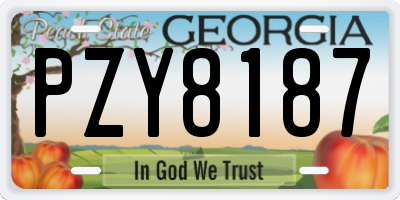 GA license plate PZY8187