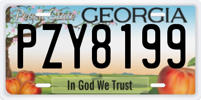 GA license plate PZY8199