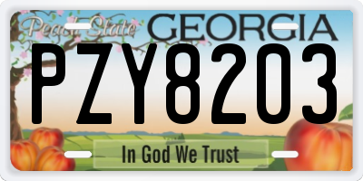 GA license plate PZY8203