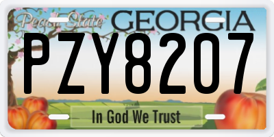 GA license plate PZY8207
