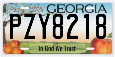GA license plate PZY8218
