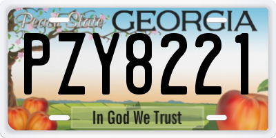 GA license plate PZY8221