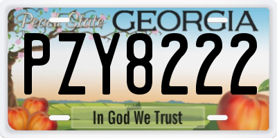 GA license plate PZY8222