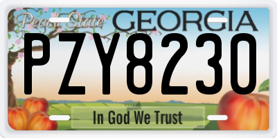 GA license plate PZY8230