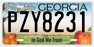 GA license plate PZY8231