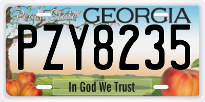 GA license plate PZY8235