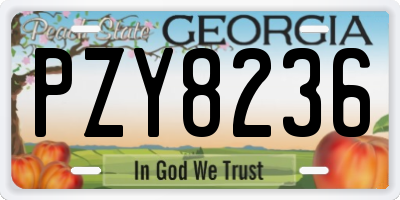 GA license plate PZY8236