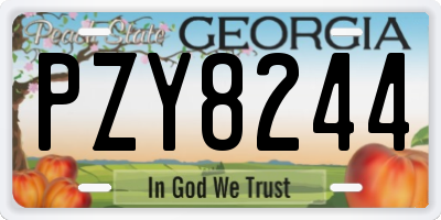 GA license plate PZY8244