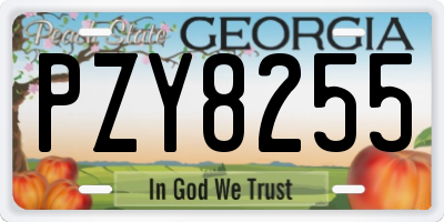 GA license plate PZY8255