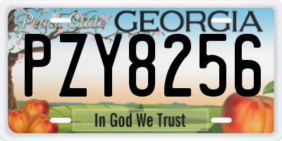 GA license plate PZY8256