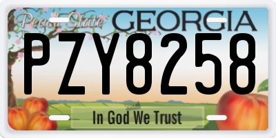GA license plate PZY8258