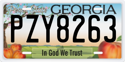 GA license plate PZY8263