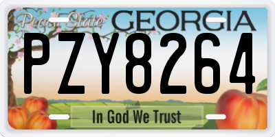 GA license plate PZY8264