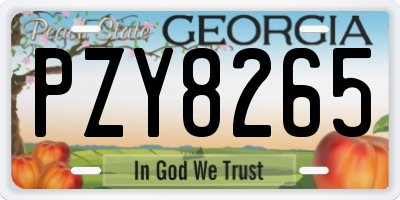 GA license plate PZY8265