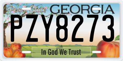 GA license plate PZY8273