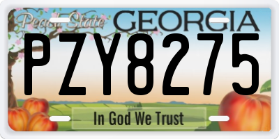 GA license plate PZY8275