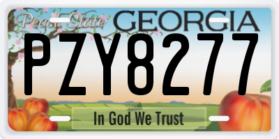 GA license plate PZY8277