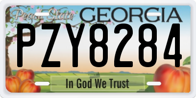 GA license plate PZY8284
