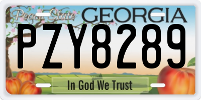 GA license plate PZY8289