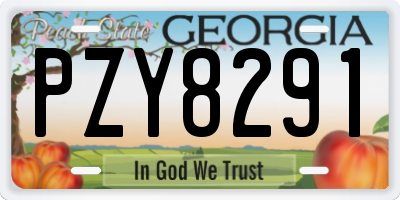 GA license plate PZY8291