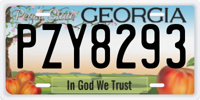 GA license plate PZY8293