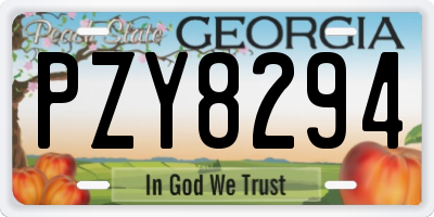 GA license plate PZY8294