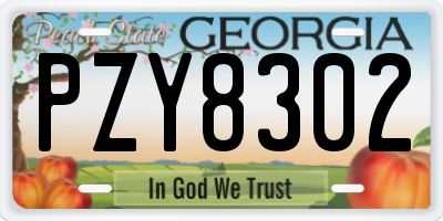GA license plate PZY8302