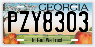 GA license plate PZY8303
