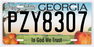 GA license plate PZY8307