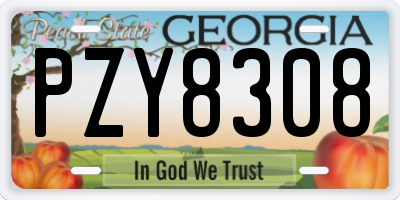 GA license plate PZY8308