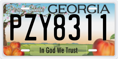 GA license plate PZY8311