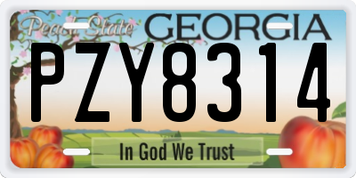 GA license plate PZY8314
