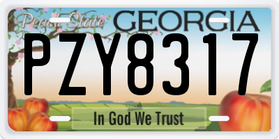 GA license plate PZY8317