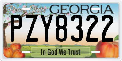 GA license plate PZY8322