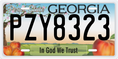 GA license plate PZY8323
