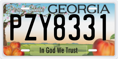GA license plate PZY8331