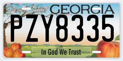 GA license plate PZY8335
