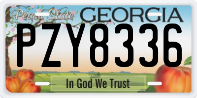 GA license plate PZY8336