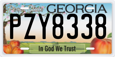 GA license plate PZY8338