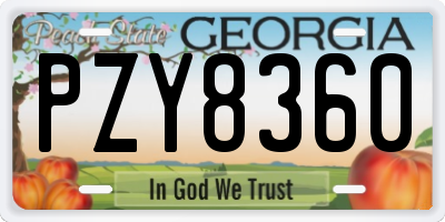GA license plate PZY8360