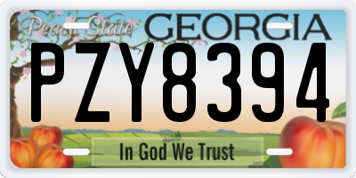 GA license plate PZY8394