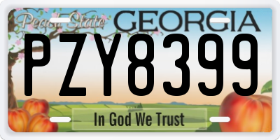 GA license plate PZY8399