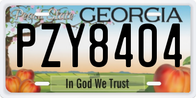 GA license plate PZY8404