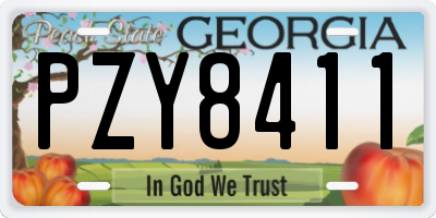 GA license plate PZY8411
