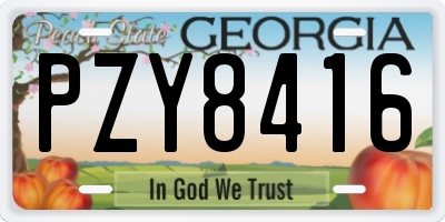 GA license plate PZY8416