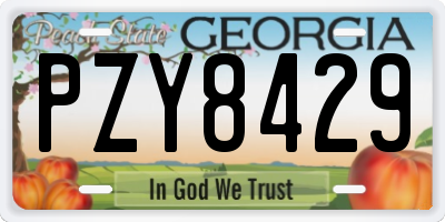 GA license plate PZY8429