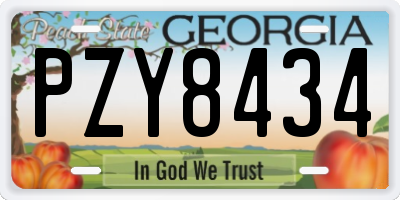 GA license plate PZY8434