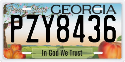 GA license plate PZY8436