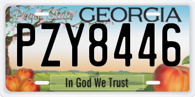 GA license plate PZY8446